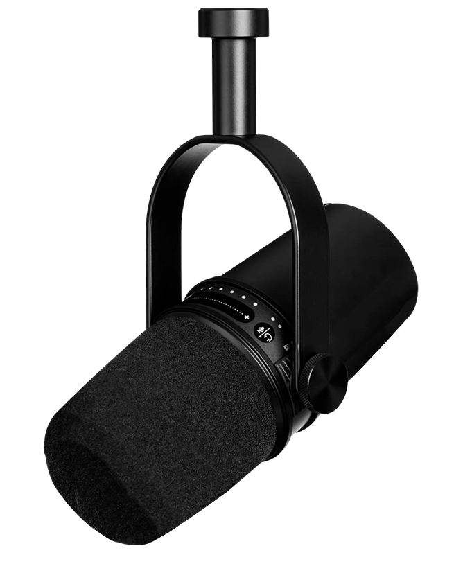 Studio microphone setup for professional voice over services by Elou